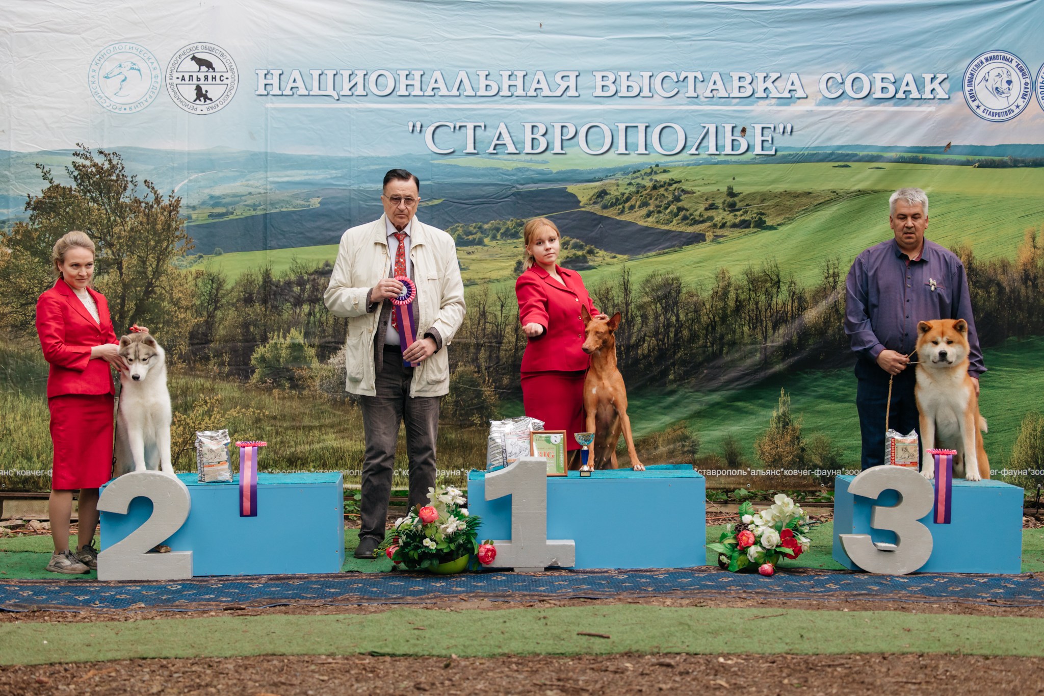 Выставка собак в Саврополе, кинологический клуб Альянс, победители породы