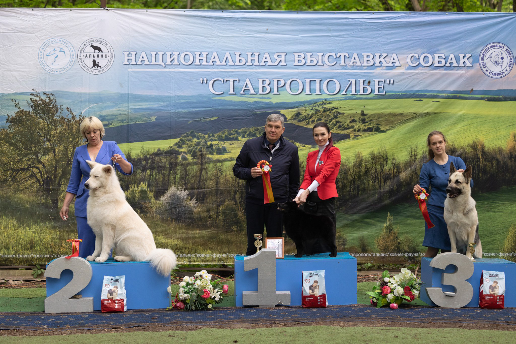 Выставка собак в Саврополе, кинологический клуб Альянс, победители породы