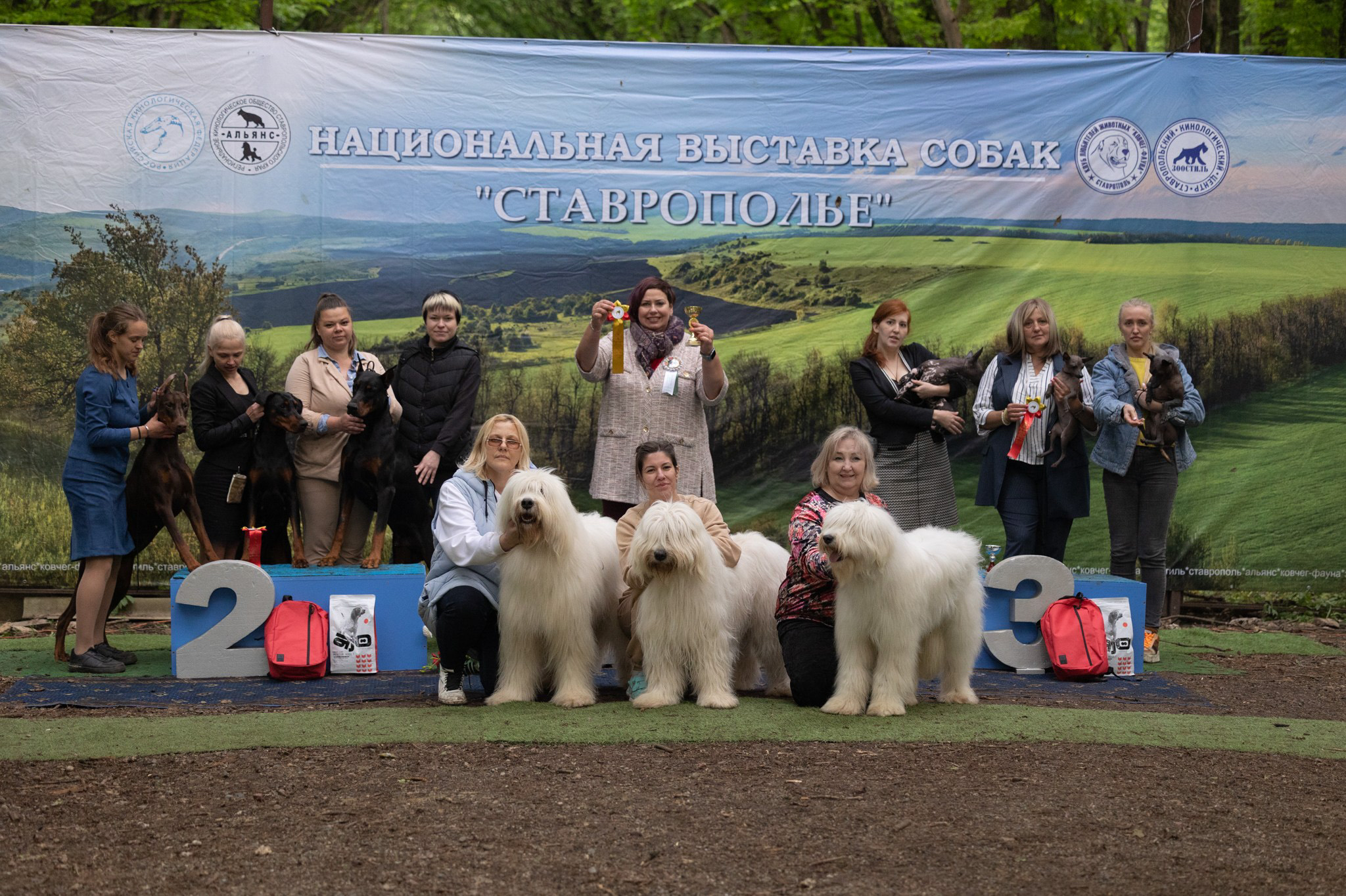 Выставка собак в Саврополе, кинологический клуб Альянс, победители породы