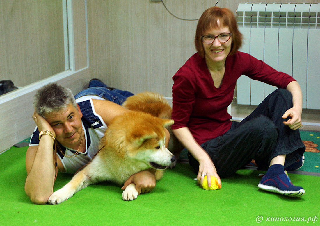 выставочная подготовка собак в Ставрополе