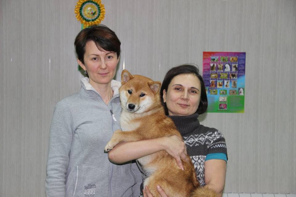 фотографии дрессировки в хендлинг зале