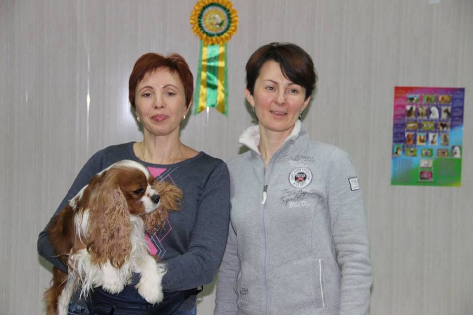 Ставрополь занятия по хендлингу