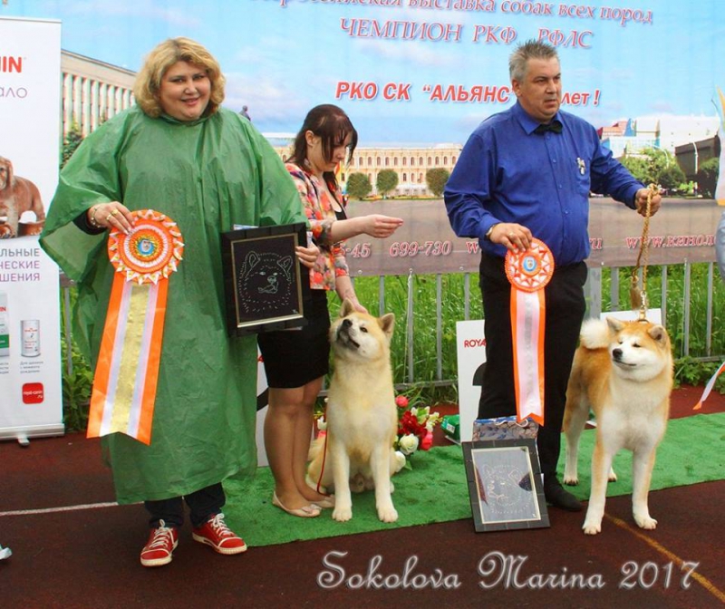 монопородная выставка Акита-Ину_10