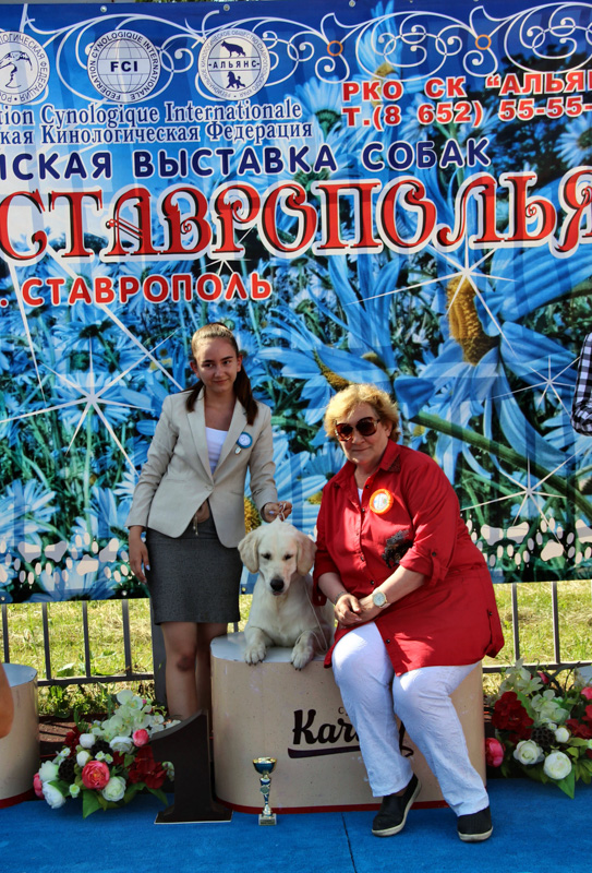 Выставка САС в Ставрополе_1