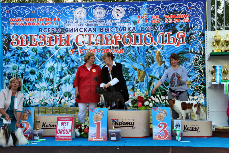Выставка САС в Ставрополе_5