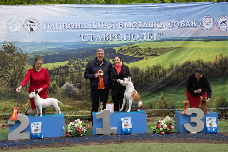 14 мая выставка САС ЧФ - 