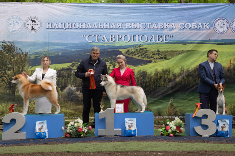 14 мая выставка САС ЧФ - 