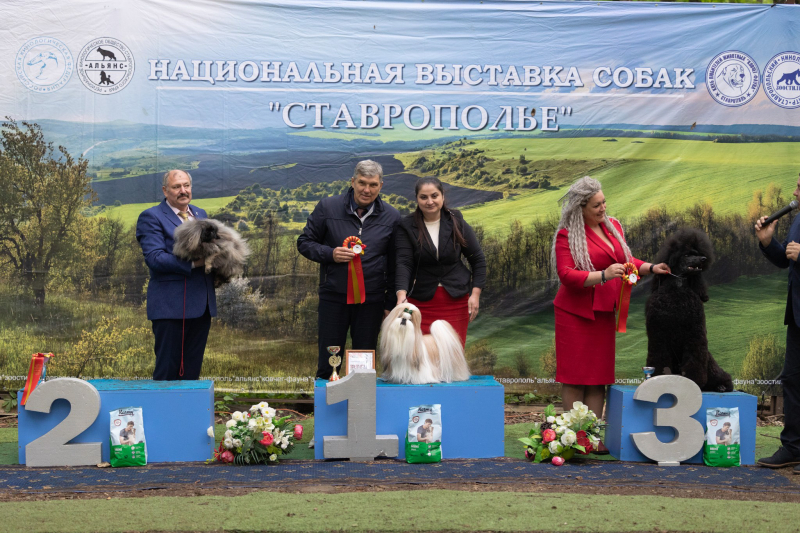 14 мая выставка САС ЧФ - 