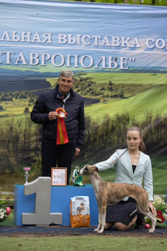 14 мая выставка САС ЧФ - 