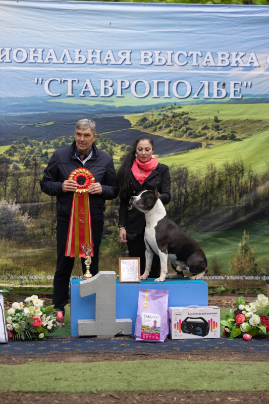 14 мая выставка САС ЧФ - 