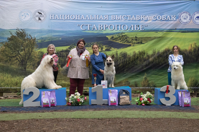 14 мая выставка САС ЧФ - 