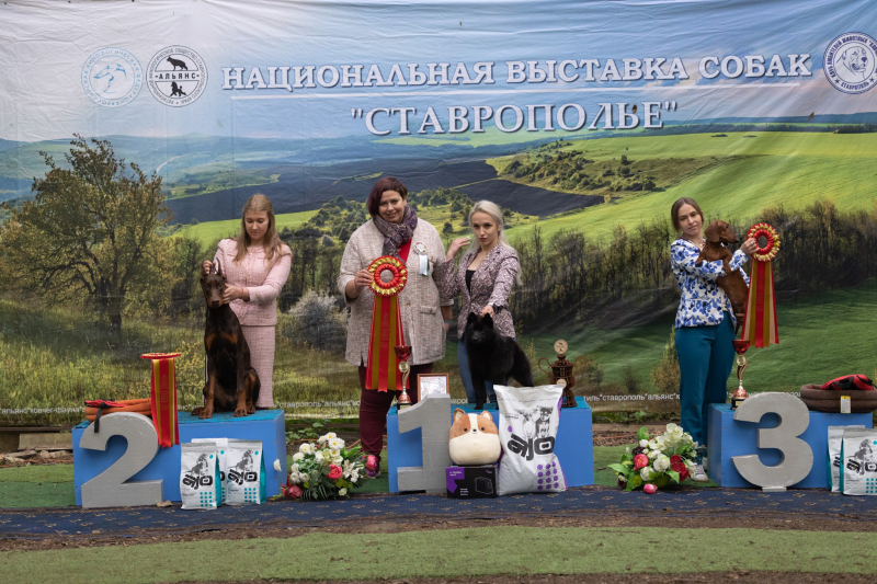 14 мая выставка САС ЧФ - 