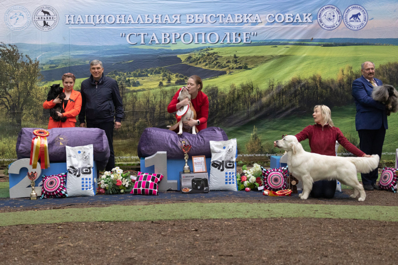 14 мая выставка САС ЧФ - 