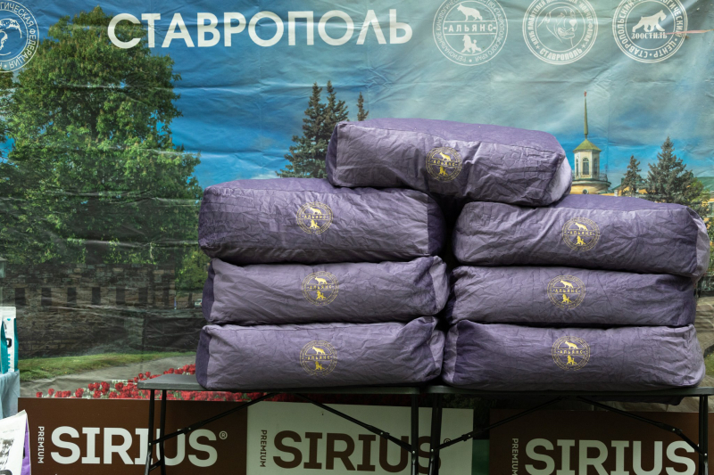 14 мая выставка САС ЧФ - 