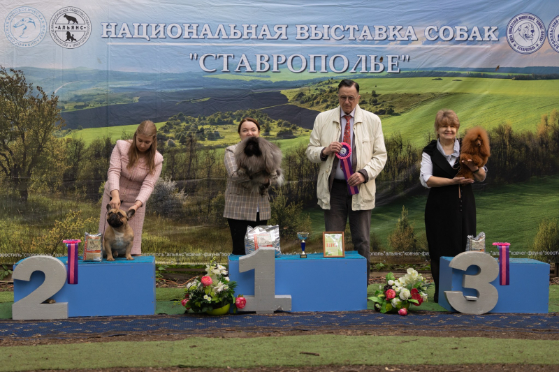 Фотоальбом САС ЧФ- 