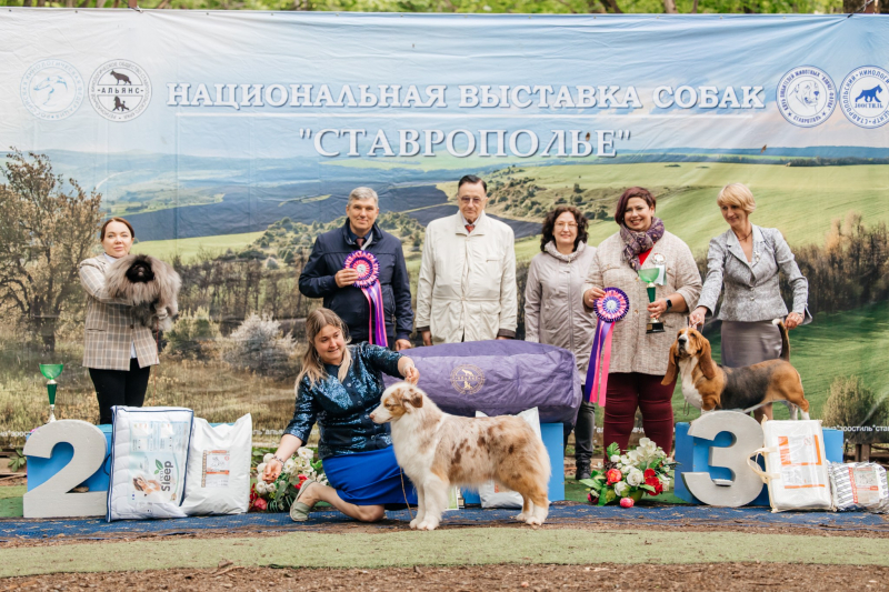 Фотоальбом САС ЧФ- 