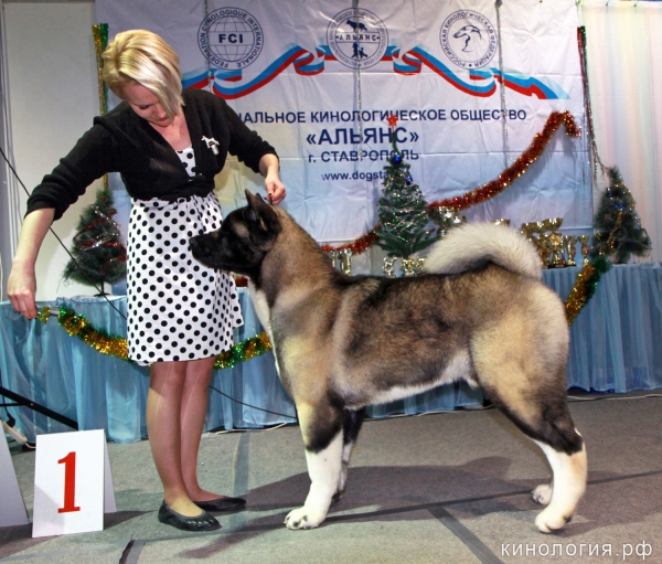 Победитель выставки_1
