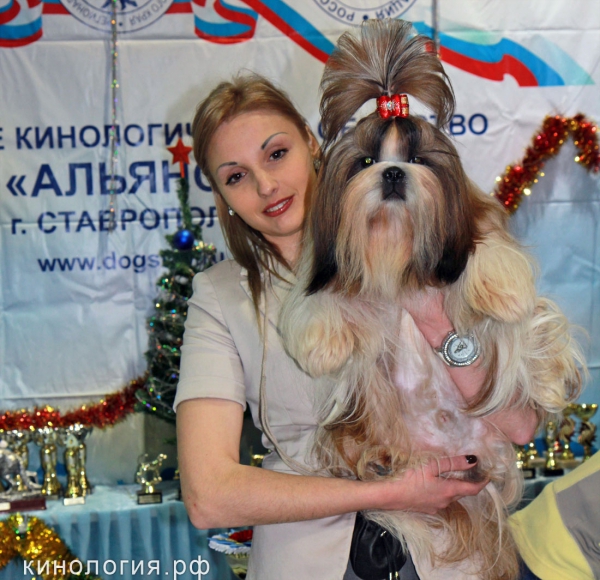 Победитель выставки_1