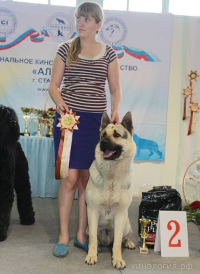 СРКО 
