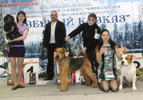 Конкурс 