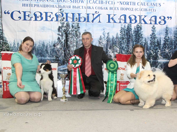 Конкурс 