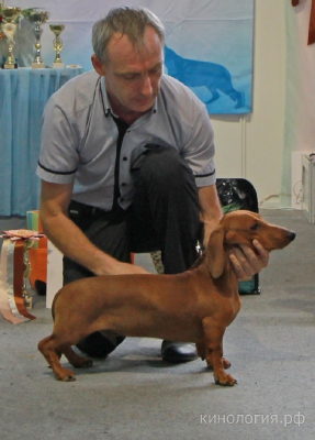 СРКО 