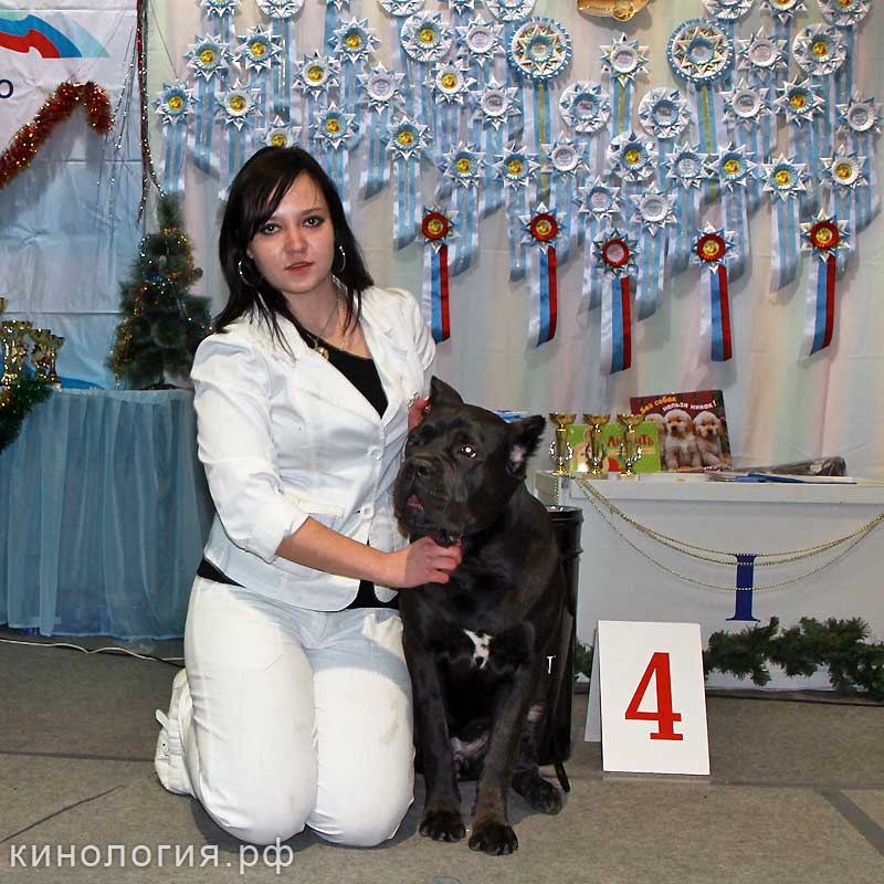 Best_3