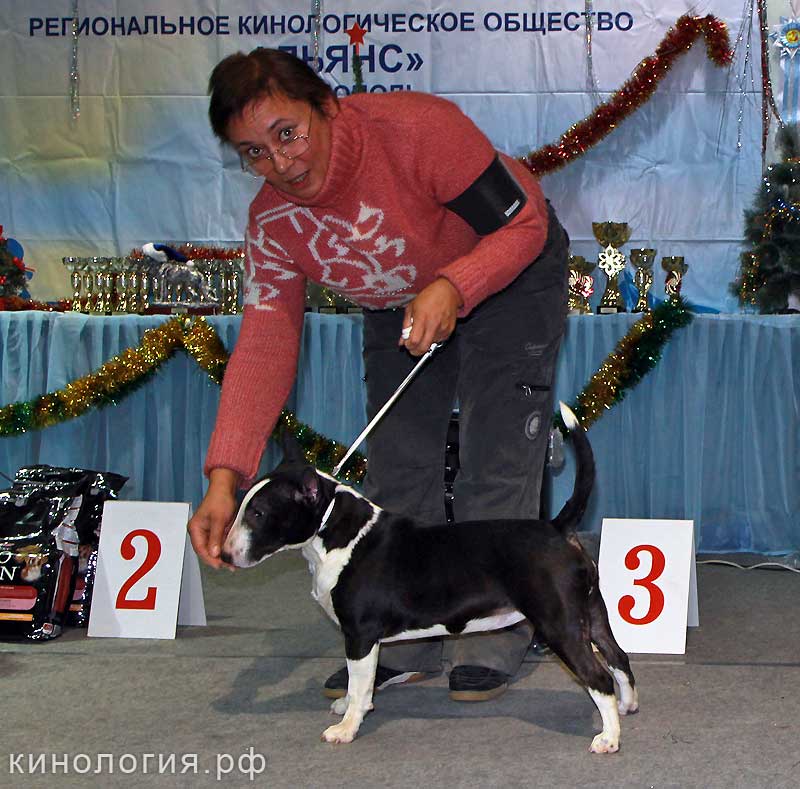 Best_4