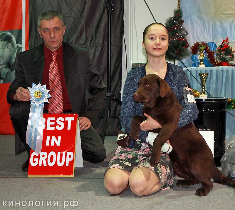 Best_7