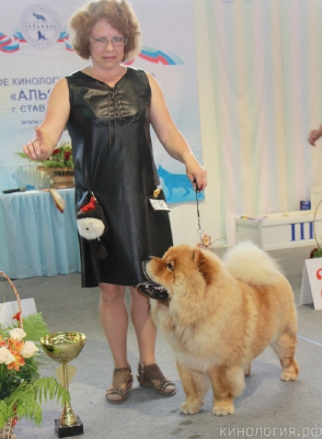 СРКО 