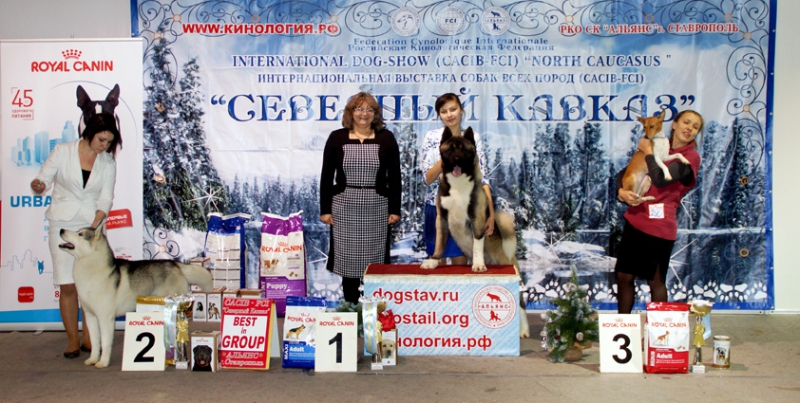 Победители 5 группы_1