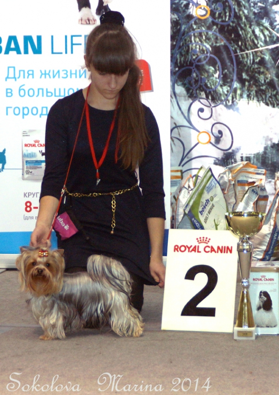 пары, костюмы, младшие ЮХ_3