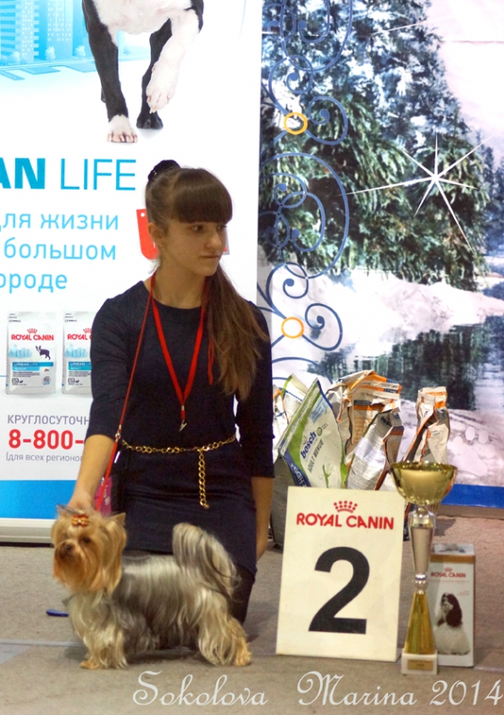 пары, костюмы, младшие ЮХ_8