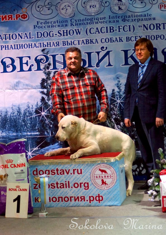  младший ЮХ, юниоры, щенки,  питомники,  гордость России, ветераны._1
