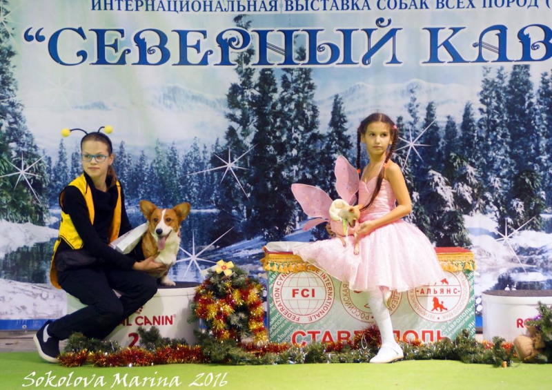 Юный хендлер_1