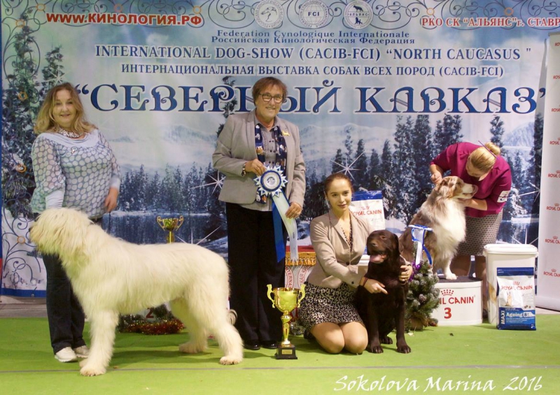 Ветераны_2