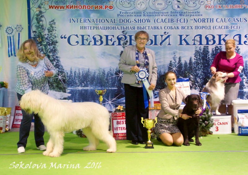 Ветераны_4