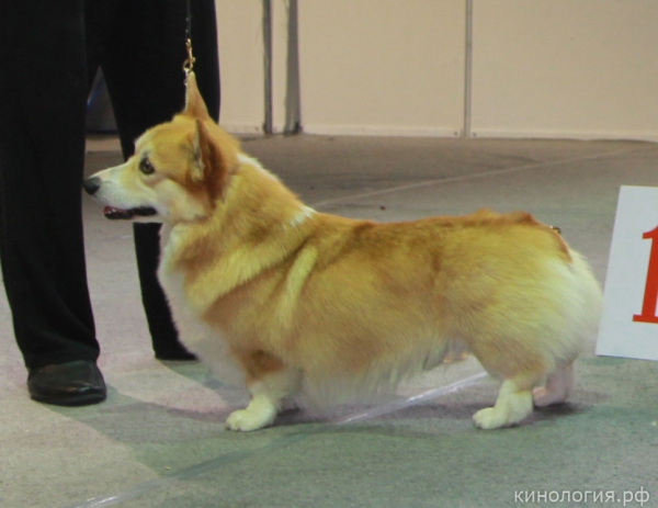 Best_1