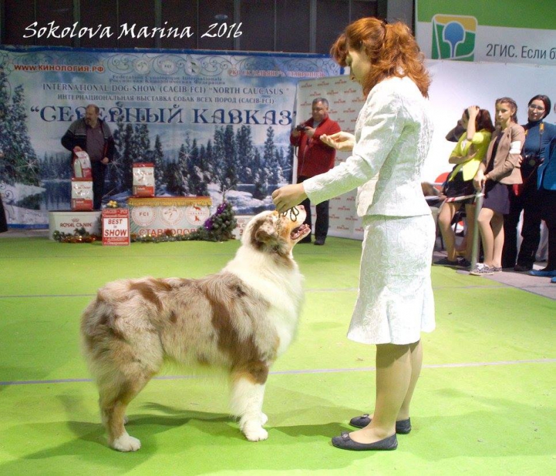 1 группа_3