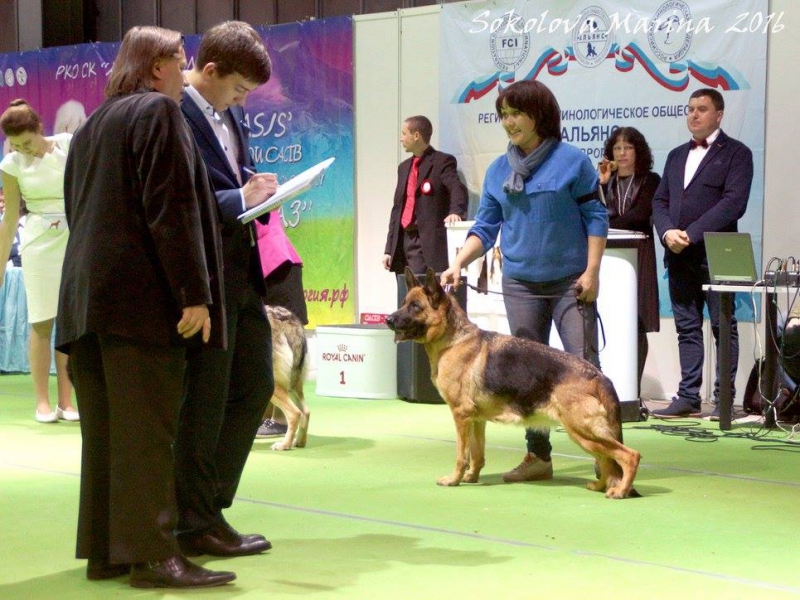 1 группа_1