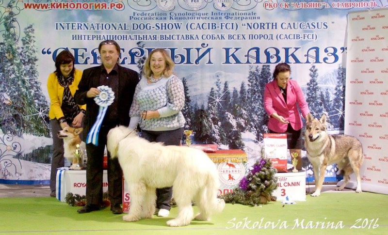 1 группа_3