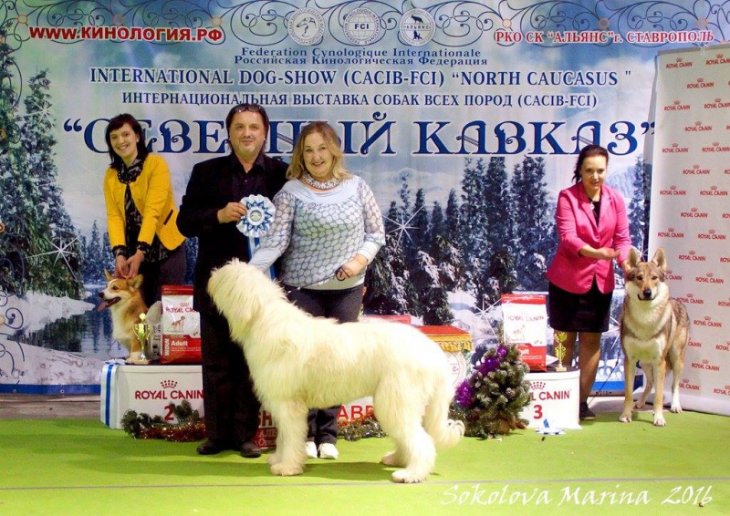 1 группа_4