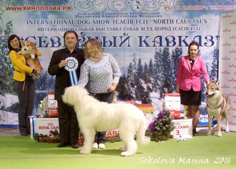1 группа_5
