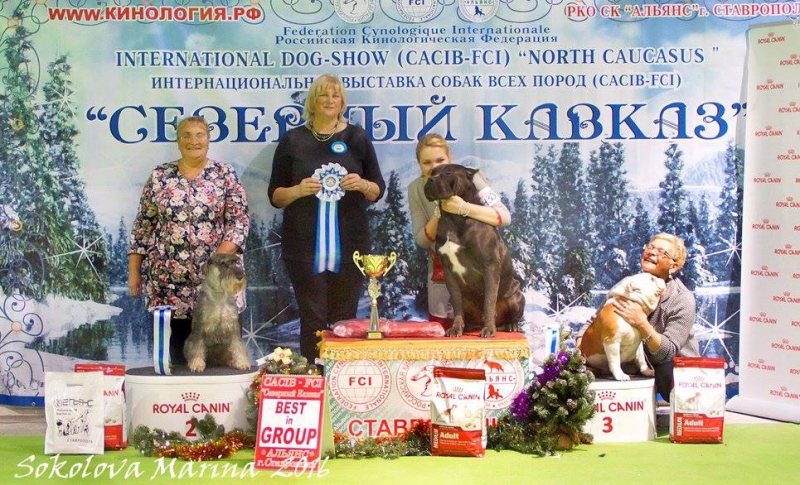 2 группа_2