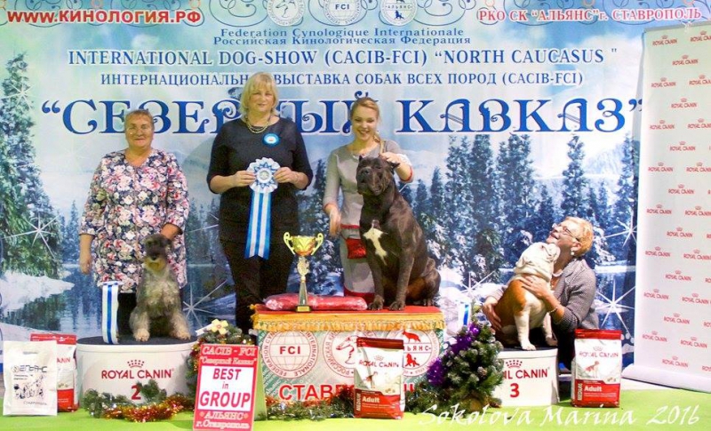 2 группа_4
