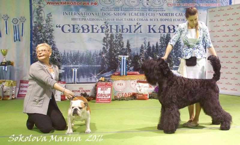2 группа_6