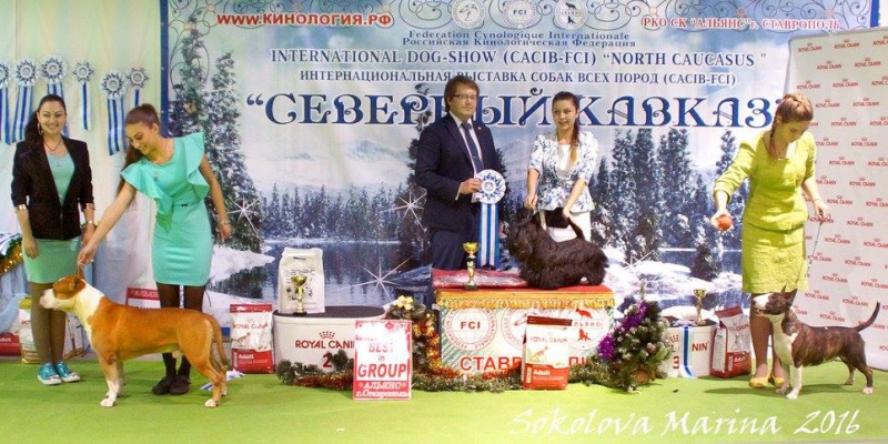 3 группа_2