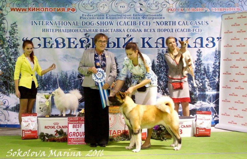 5 группа_10