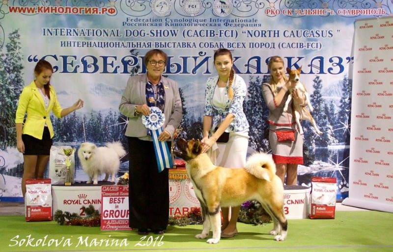 5 группа_1