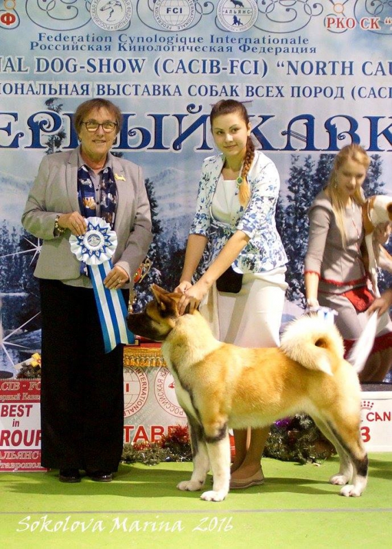 5 группа_2